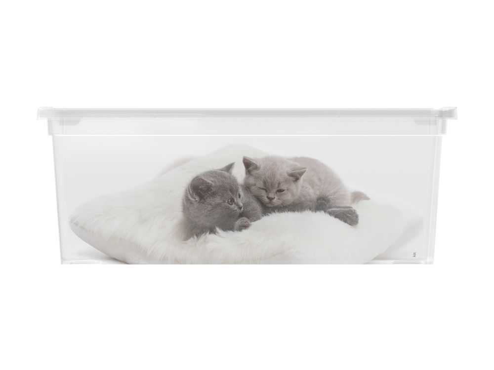 KIS Puppy and Kitten 57494 Plastový box - S KIS