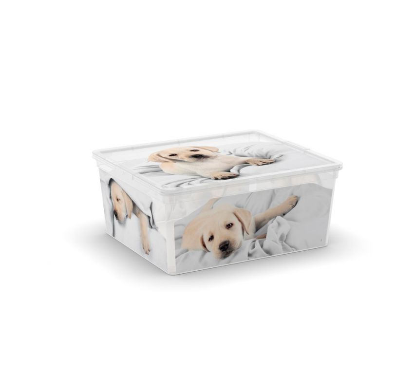 KIS Puppy and Kitten 57495 Plastový box - M KIS